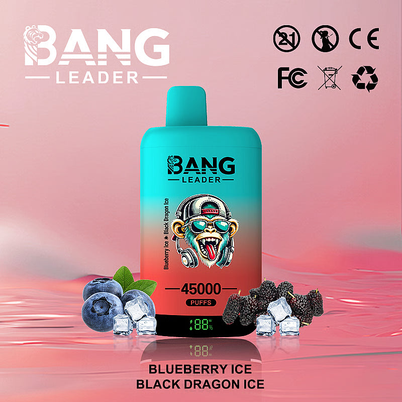 Bang Leader 45000 Puffs 45k Double Flavor Disposable Vape (10st - Box)