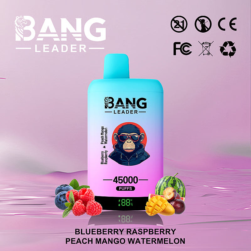 Bang Leader 45000 Puffs 45k Double Flavor Disposable Vape (10st - Box)