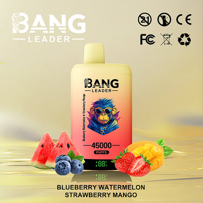 Bang Leader 45000 Puffs 45k Double Flavor Disposable Vape (10st - Box)