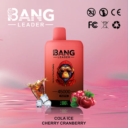 Bang Leader 45000 Puffs 45k Double Flavor Disposable Vape (10st - Box)