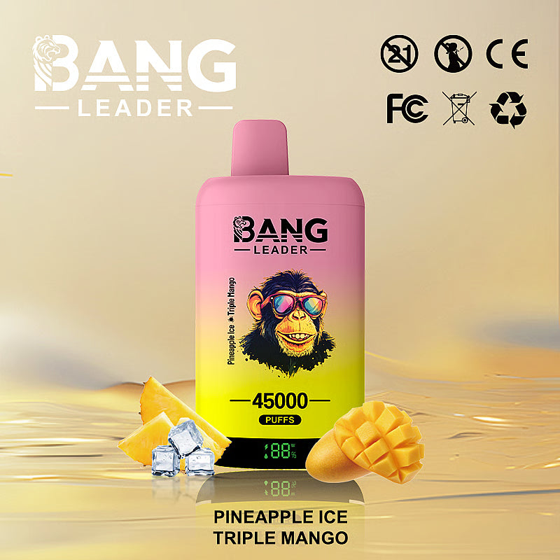 Bang Leader 45000 Puffs 45k Double Flavor Disposable Vape (10st - Box)