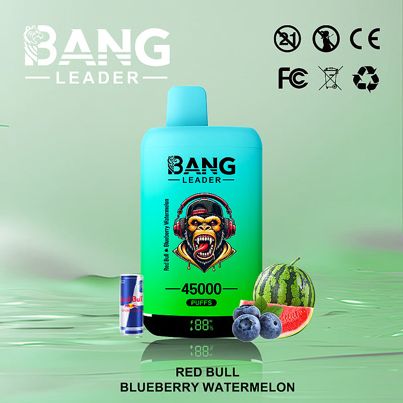 Bang Leader 45000 Puffs 45k Double Flavor Disposable Vape (10st - Box)