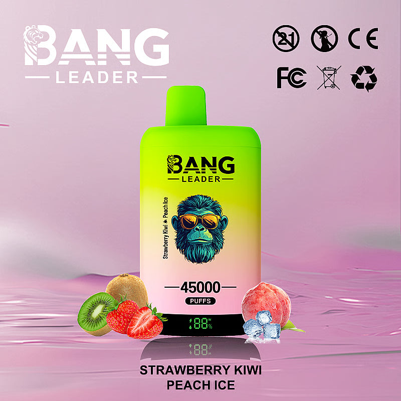 Bang Leader 45000 Puffs 45k Double Flavor Disposable Vape (10st - Box)