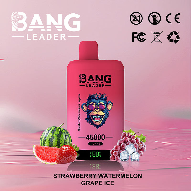Bang Leader 45000 Puffs 45k Double Flavor Disposable Vape (10st - Box)