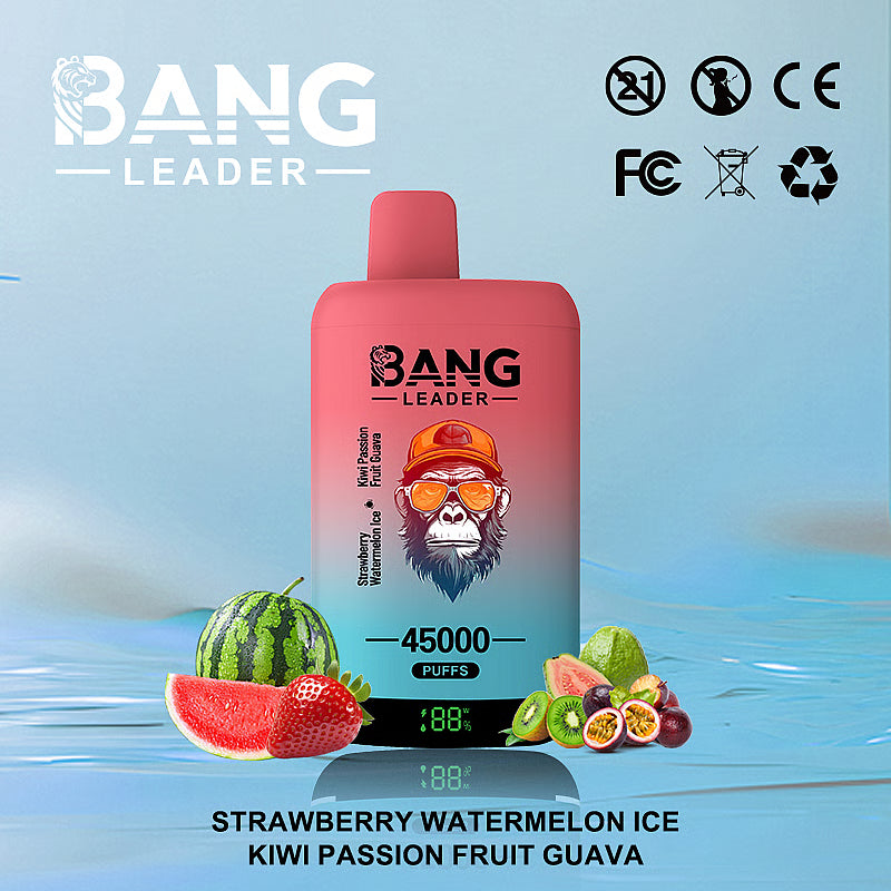 Bang Leader 45000 Puffs 45k Double Flavor Disposable Vape (10st - Box)
