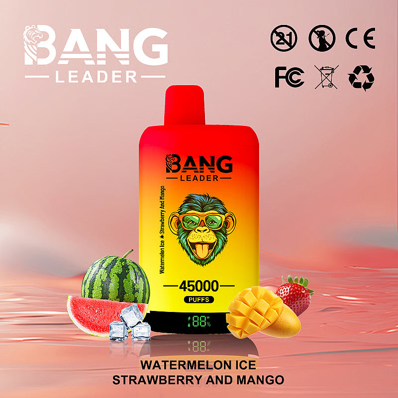 Bang Leader 45000 Puffs 45k Double Flavor Disposable Vape (10st - Box)